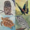 Colnect-1667-349-Owls-Butterfly-Turtle-Silver-Text.jpg