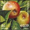 Colnect-657-682-Apples-Malus-domestica.jpg