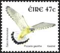 Colnect-1886-890-Common-Kestrel-Falco-tinnunculus.jpg
