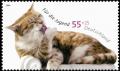 Colnect-5202-476-Domestic-Cat-Preening.jpg