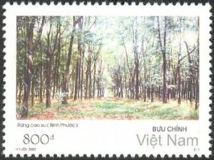 Colnect-1620-986-Rubber-forest-in-Binh-Phuoc-Province.jpg