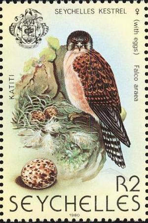 Colnect-1721-624-Seychelles-Kestrel-Falco-araeus.jpg