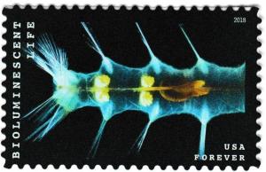 Colnect-4771-554-Bioluminescent-Life-Marine-Worm.jpg