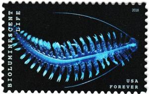 Colnect-4771-557-Bioluminescent-Life-Marine-Worm.jpg