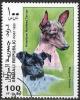 Colnect-1272-191-American-Hairless-Terrier-and-Nippon-Terrier.jpg