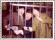 Colnect-2305-591-TV-Series--The-Three-Stooges-.jpg