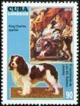Colnect-2861-493-Cavalier-King-Charles-Spaniel-Canis-lupus-familiaris-.jpg