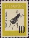Colnect-1015-790-Tiger-Beetle-Cicindela-albanica.jpg