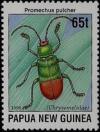 Colnect-3128-910-Leaf-Beetle-Promechus-pulcher.jpg