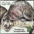 Colnect-4347-947-Asian-Palm-Civet-Paradoxurus-hermaphroditus.jpg