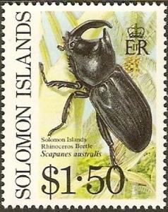 Melanesian-Rhinoceros-Beetle-Scapanes-australis.jpg