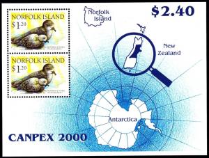 Colnect-2517-431-Providence-petrels-and-map-of-Antarctica.jpg