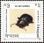 Colnect-4974-034-Leaf-Beetle-Ambrostoma-mahesa.jpg