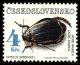 Colnect-3786-761-Diving-Beetle-Dytiscus-latissimus.jpg