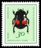 Colnect-1975-504-Stutz-Beetle-Hister-bipustulatus.jpg