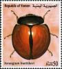Colnect-960-968-Ladybird-Beetle-Sernagium-buettikeri.jpg