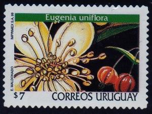 Colnect-1295-406-Eugenia-uniflora.jpg
