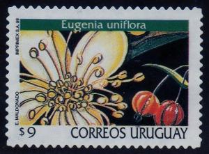 Colnect-1295-408-Eugenia-uniflora.jpg