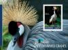 Colnect-4804-865-Grey-crowned-cranes.jpg