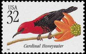 Colnect-2308-141-Cardinal-Honeyeater-Myzomela-cardinalis-.jpg