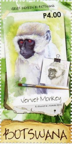 Colnect-4049-020-Vervet-monkey-drawing-and-paint-brush.jpg
