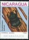 Colnect-1318-990-Beetle-Ceratrupes-bolivari.jpg