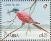 Colnect-1721-709-Southern-Carmine-Bee-eater-Merops-nubicoides-.jpg