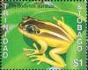 Colnect-3115-563-Golden-Tree-Frog-Phyllodytes-auratus.jpg