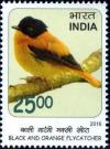 Colnect-3708-822-Black-and-orange-Flycatcher-Ficedula-nigrorufa.jpg