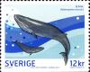 Colnect-701-329-Blue-Whale-Balaenoptera-musculus.jpg