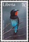Colnect-745-915-Black-Bee-eater-Merops-gularis.jpg