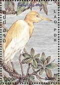 Colnect-1614-711-Cattle-Egret-Bubulcus-ibis.jpg