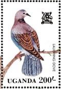 Colnect-1712-367-Laughing-Dove-Streptopelia-senegalensis.jpg