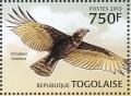 Colnect-3585-614-Brown-Snake-eagle-Circaetus-cinereus.jpg