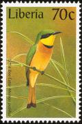 Colnect-745-925-Little-Bee-eater-Merops-pusillus.jpg