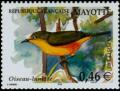Colnect-851-132-Mayotte-White-eye-Zosterops-mayottensis.jpg