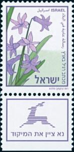 Colnect-777-344-Hyazinthe-Hyacinthus-orientalis.jpg