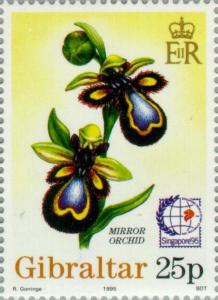 Colnect-120-759-Singapore---95---Mirror-Orchid.jpg