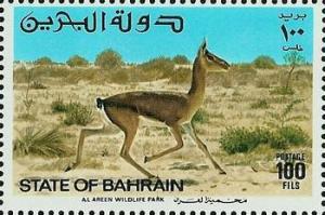 Colnect-1463-240-Persian-Gazelle-Gazella-subgutturosa-Female.jpg