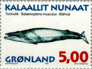 Colnect-158-614-Blue-whale-Balaenoptera-musculus.jpg