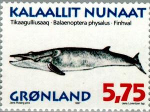 Colnect-158-615-Fin-whale-Balaenoptera-physalus.jpg