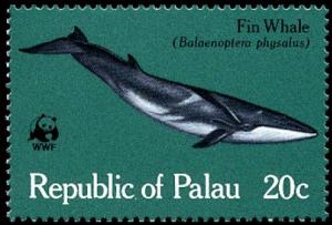 Colnect-1637-971-Fin-Whale-Balaenoptera-physalus.jpg