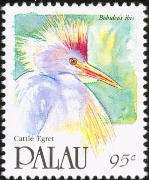 Colnect-1638-019-Cattle-Egret-Bubulcus-ibis.jpg