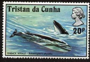 Colnect-1772-153-Fin-Whale-Balaenoptera-physalis.jpg