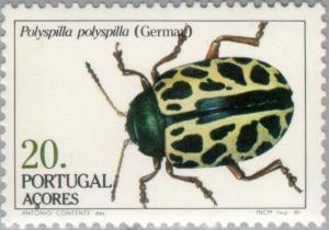 Colnect-186-129-Leaf-Beetle-Polyspilla-polyspilla-.jpg
