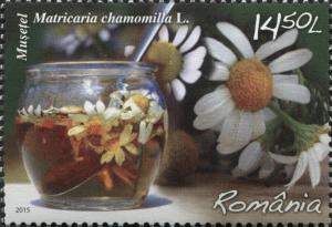 Colnect-2915-330-Chamomile-Matricaria-chamomilla.jpg