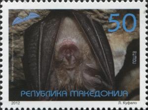 Colnect-3071-712-Lesser-Horseshoe-Bat-Rhinolophus-hipposideros.jpg