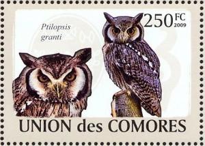Colnect-3669-398-Southern-White-faced-Owl%C2%A0Ptilopsis-granti.jpg