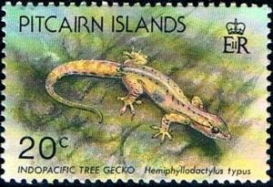 Colnect-3964-938-Indo-Pacific-tree-gecko-Hemiphyllodactylus-typus.jpg