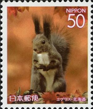 Colnect-3995-570-Japanese-Squirrel-Sciurus-lis.jpg